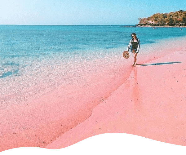 paket tour lombok 2 hari 1 malam, paket tour lombok honeymoon, promo paket tour lombok, jasa tour lombok murah, paket hemat tour lombok